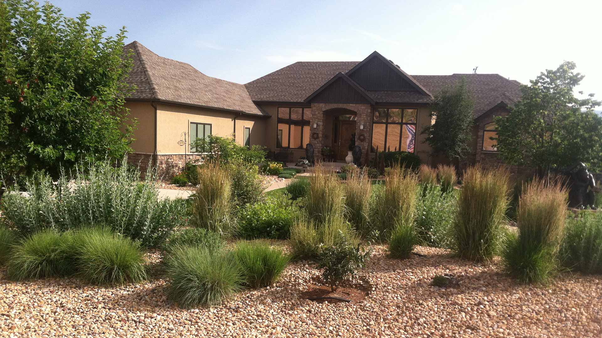 New plants installed in a Fort Collins, CO property's yard.
