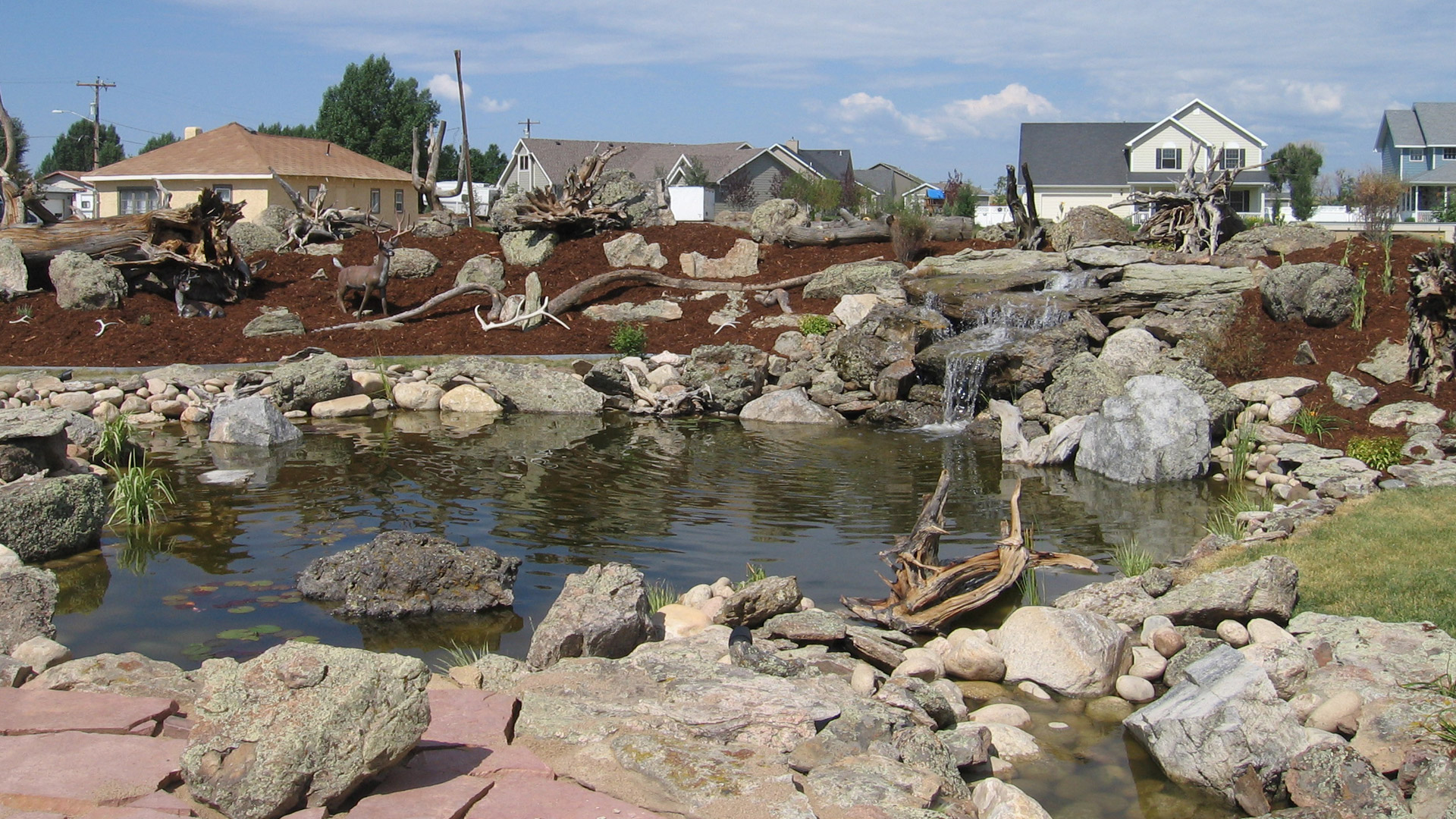 New pond, waterfall and landscaping constructed at a home in Loveland, CO.