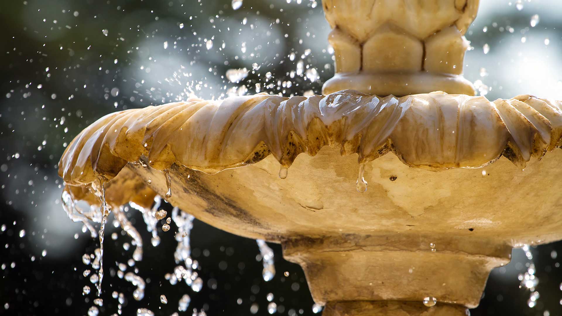 A close up photo of a water fountain at a Fort Collins, CO home.
