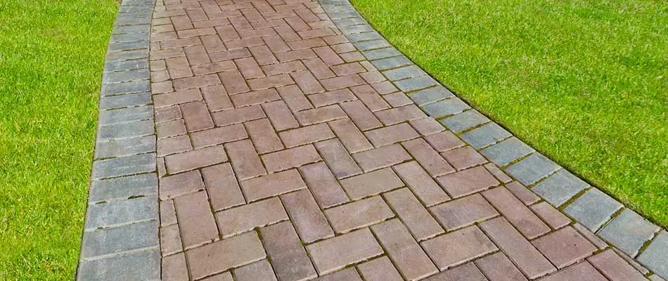 Brick walkway through a Loveland, CO front yard.