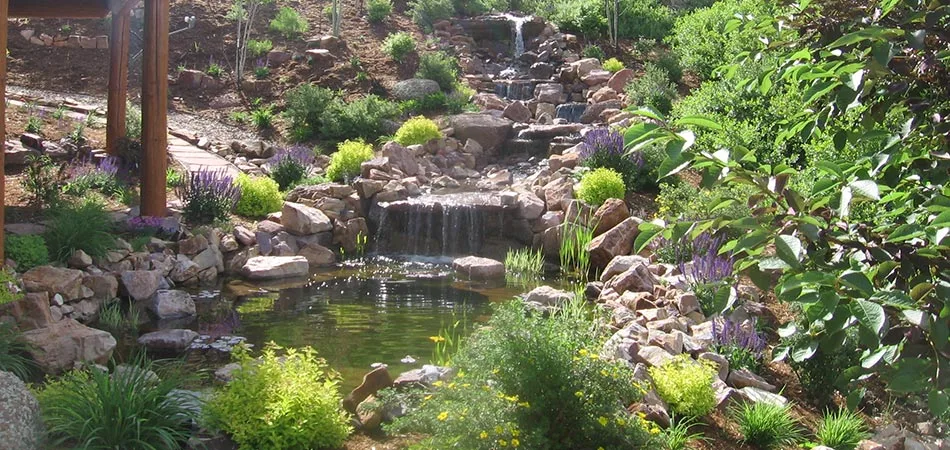 A custom waterfall and pond designed for a home in Fort Collins, CO.