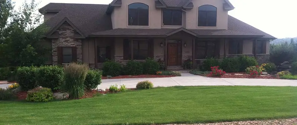 New landscaping installation with native plants in front of a home in Fort Collins, CO.