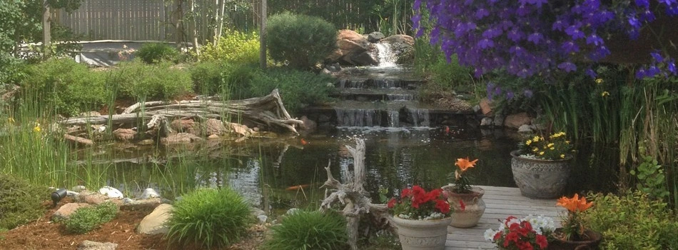 Custom rock waterfall in design inspired by nature in the backyard of a home in Windsor, CO.